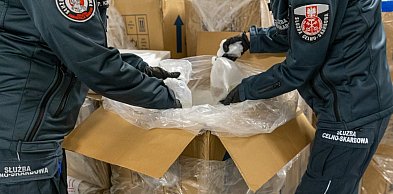 Mazowsze. Udaremniony przemyt koralowców z Indonezji