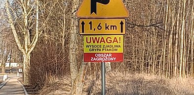 Prawie milion sztuk drobiu do utylizacji