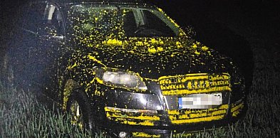 Audi porzucone w rzepaku i fałszywa kradzież. 40‑latek usłyszał 9 zarzutów