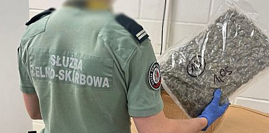 Narkotyki w paczkach kurierskich warte 1,3 miliona złotych
