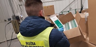 Skarbówka zabezpieczyła miliony nielegalnych papierosów z Dubaju