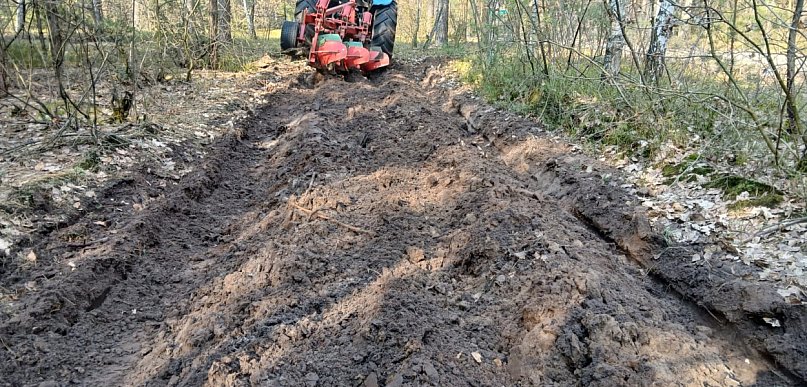 System ostrzegania o pożarach lasów