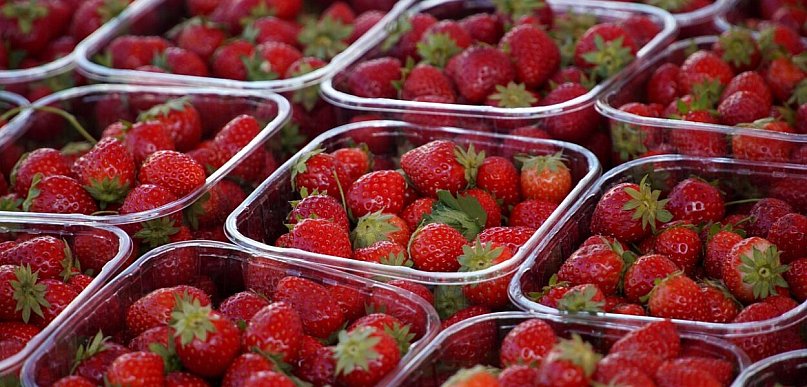 Pierwsze truskawki już są. Ceny wyraźnie wyższe niż rok temu