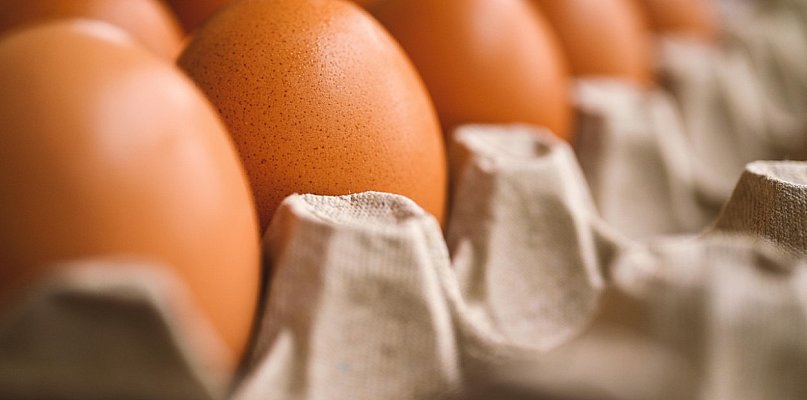 Groźne bakterie wykryte na jajach. Jest komunikat GIS