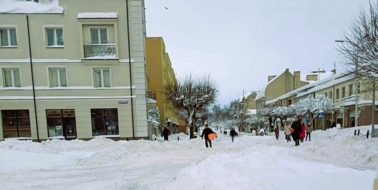 Zdjęcie jest ilustracją do tekstu.