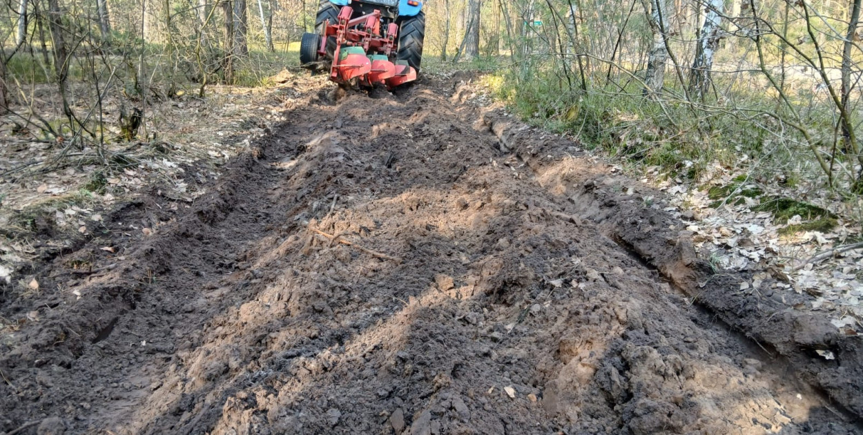 System ostrzegania o pożarach lasów