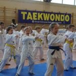 taekwondo 20
