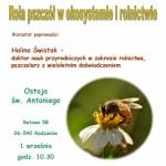 16 08 Rola pszczół w ekosystemie.pub