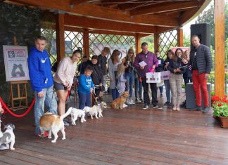 Uczestnicy piknik z czworonogiem w Mławie