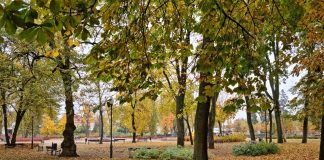 mławski park jesienią