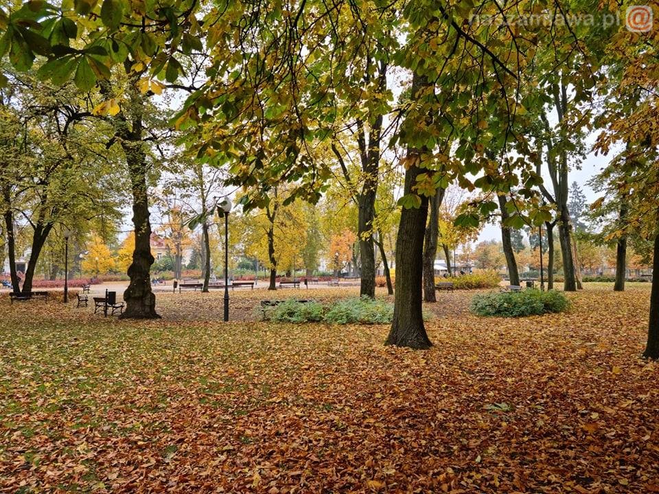 mławski park jesienią