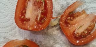 przekrojone pomidory
