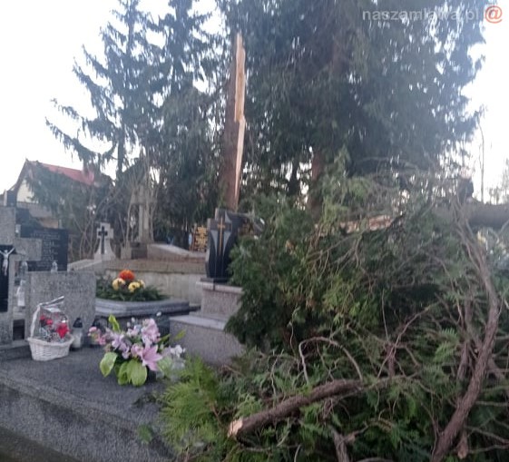 cmentarz złamane drzewo