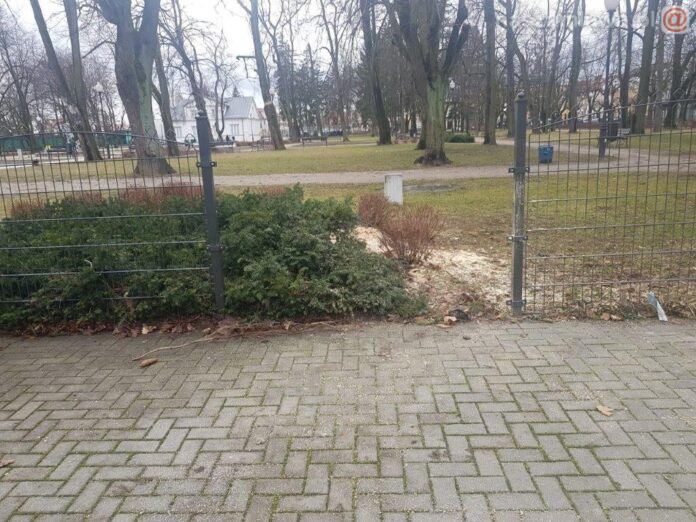 park w Mławie