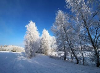 Prognoza synoptyczna IMGW. Fot. IMGW/Twitter